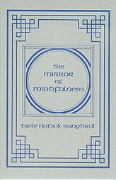 Mirror of Mindfulness