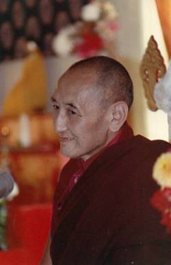 Yangthang Rinpoche