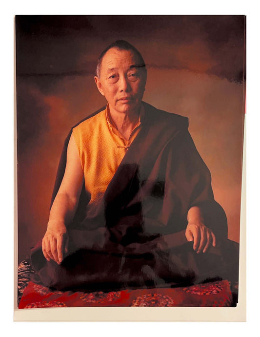 Gyatrul Rinpoche (Formal Serious)